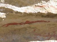 Albums/20060200-New Zealand 2006/20060316-Twiz/38